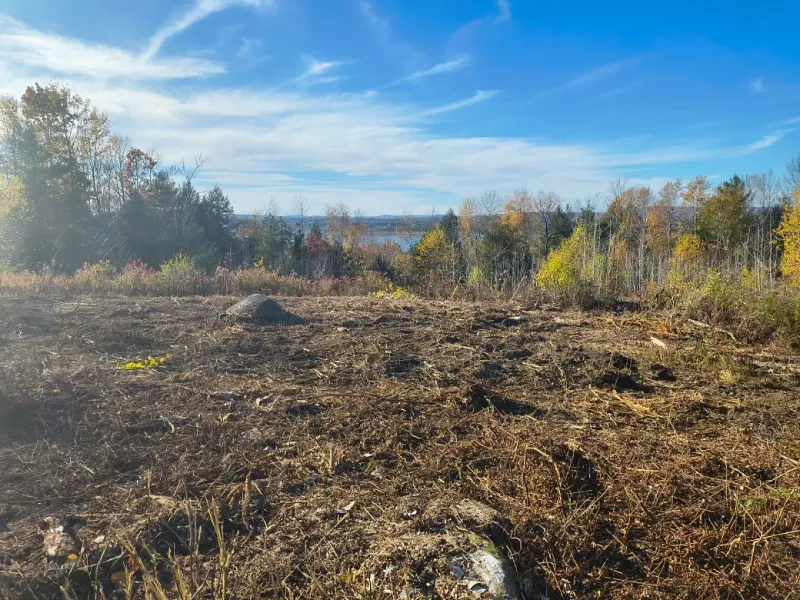 Cleared grassy field with autumn trees under a blue sky and distant hills