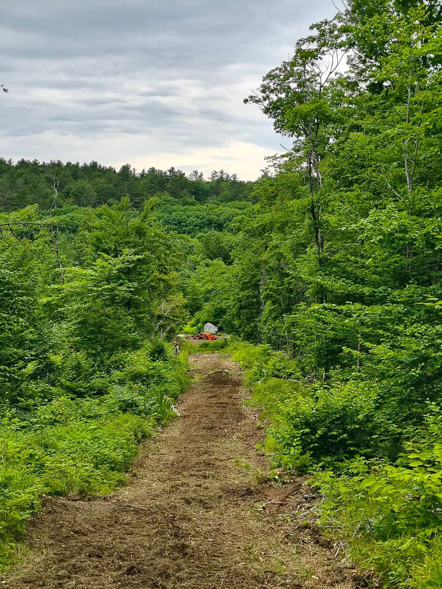 Dirt trail through lush green forest under a cloudy sky, with a small hiker visible in the distance