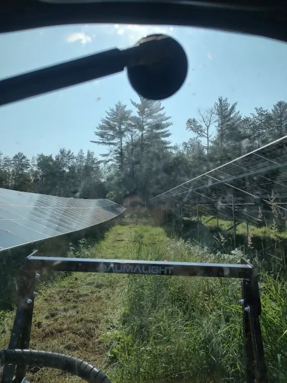 Solar panels and garden trellis seen through a windshield on a sunny, tree-lined property