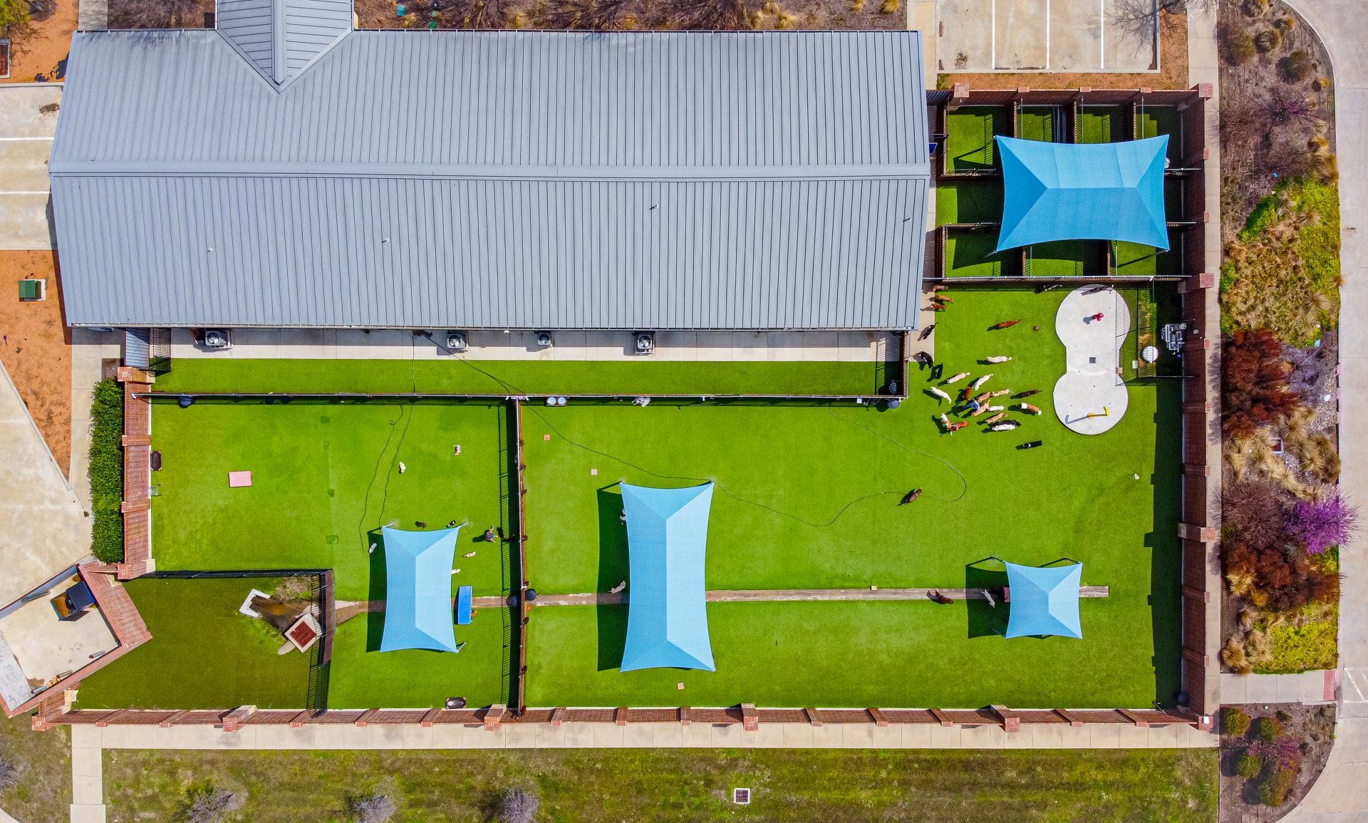 Legacy Dog Resort Gallery Frisco Texas Playcare Boarding