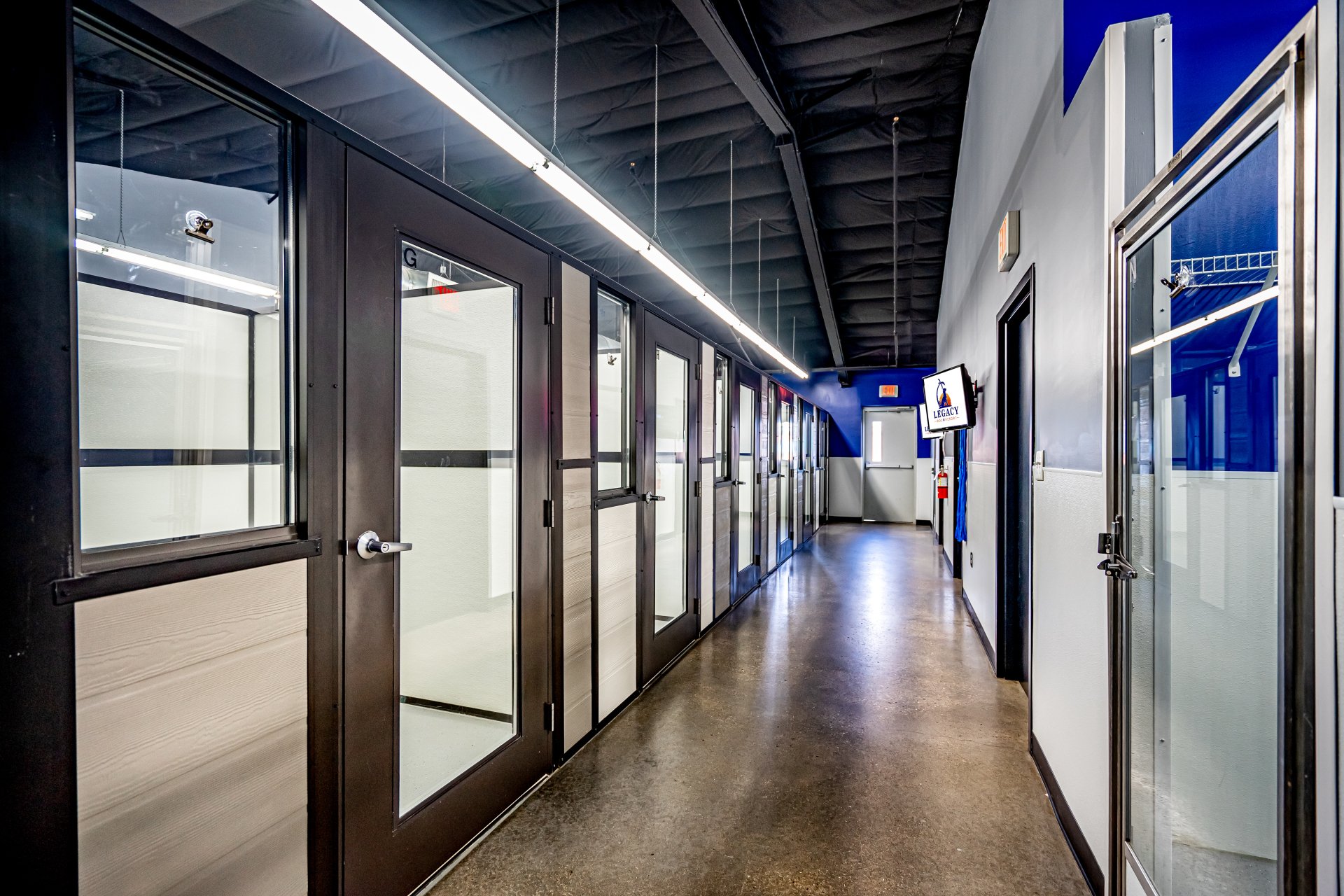 Legacy Dog Resort Gallery Frisco Texas Playcare Boarding