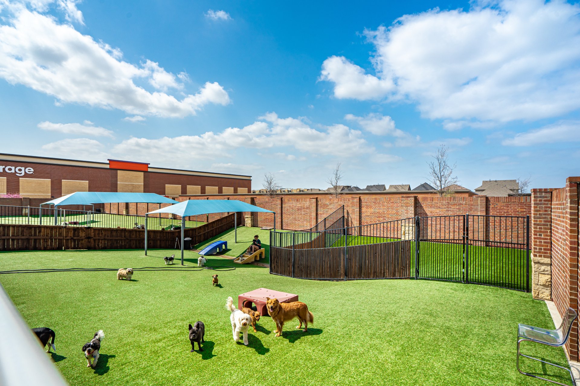 Legacy Dog Resort Gallery Frisco Texas Playcare Boarding