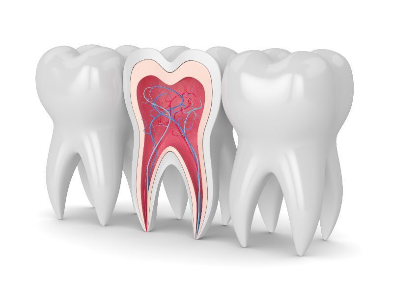 Graphic showing the inside of a tooth
