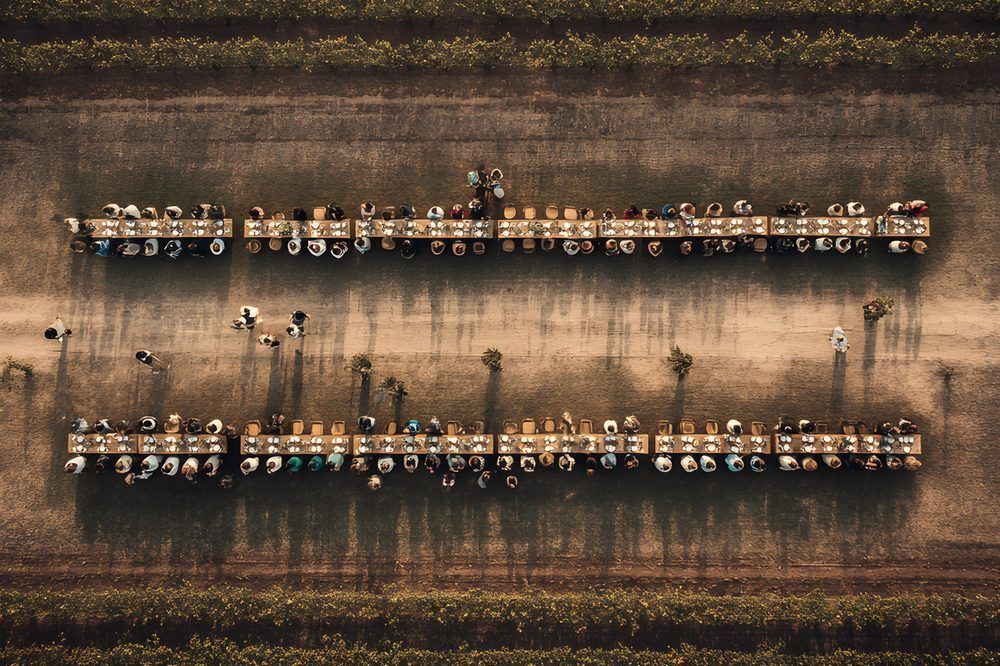 Vista aérea de dos mesas largas de banquete entre los viñedos