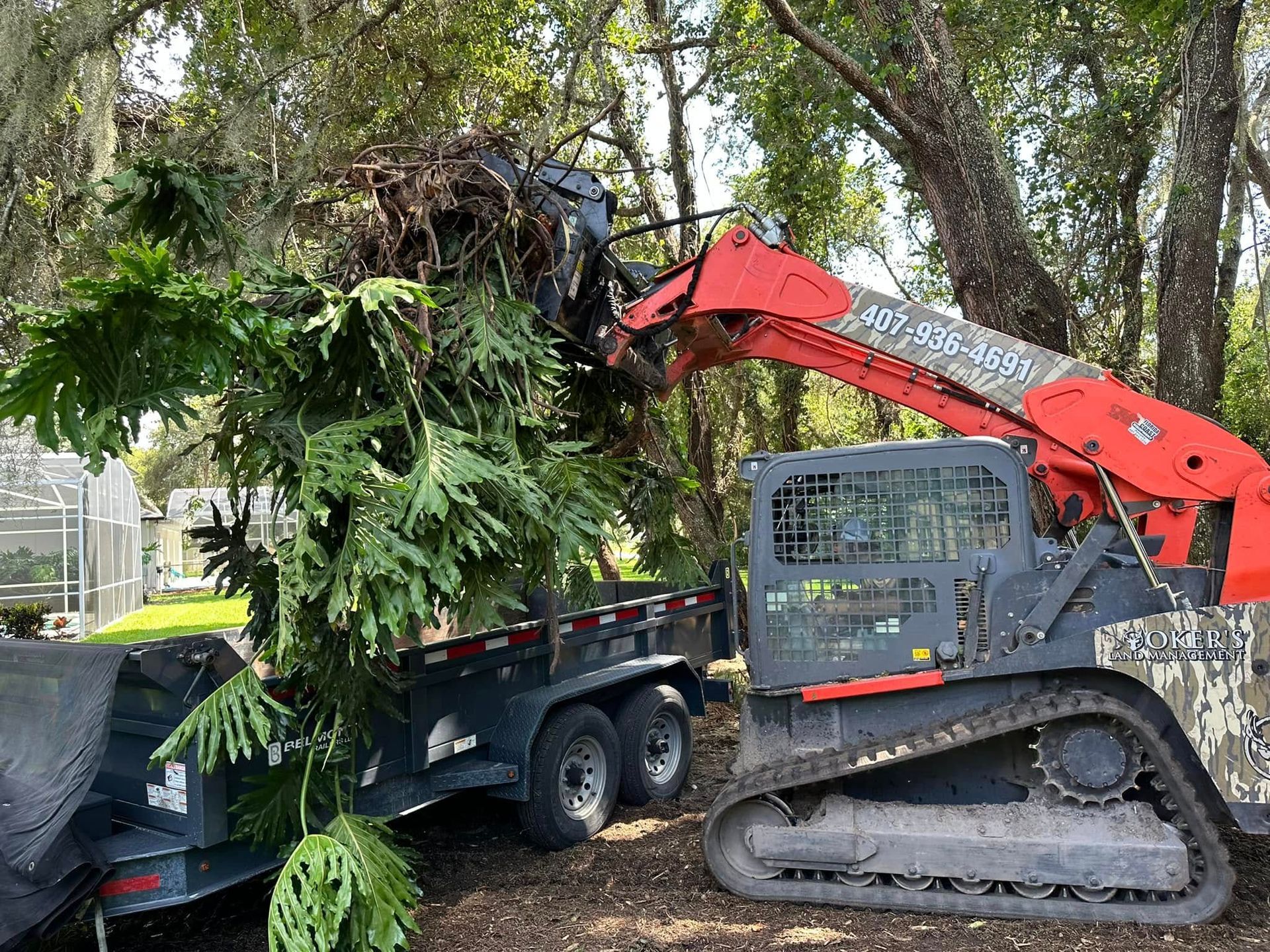 Red excavator loading tree debris into a dump trailer in a wooded area