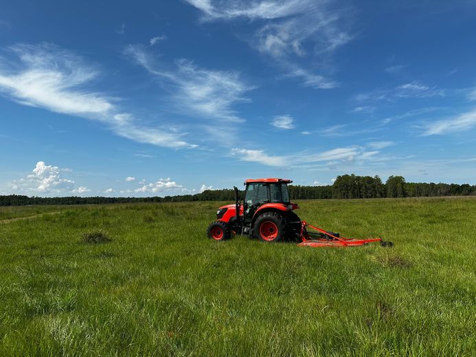 Red tractor mowing tall grass in a green field under a blue sky