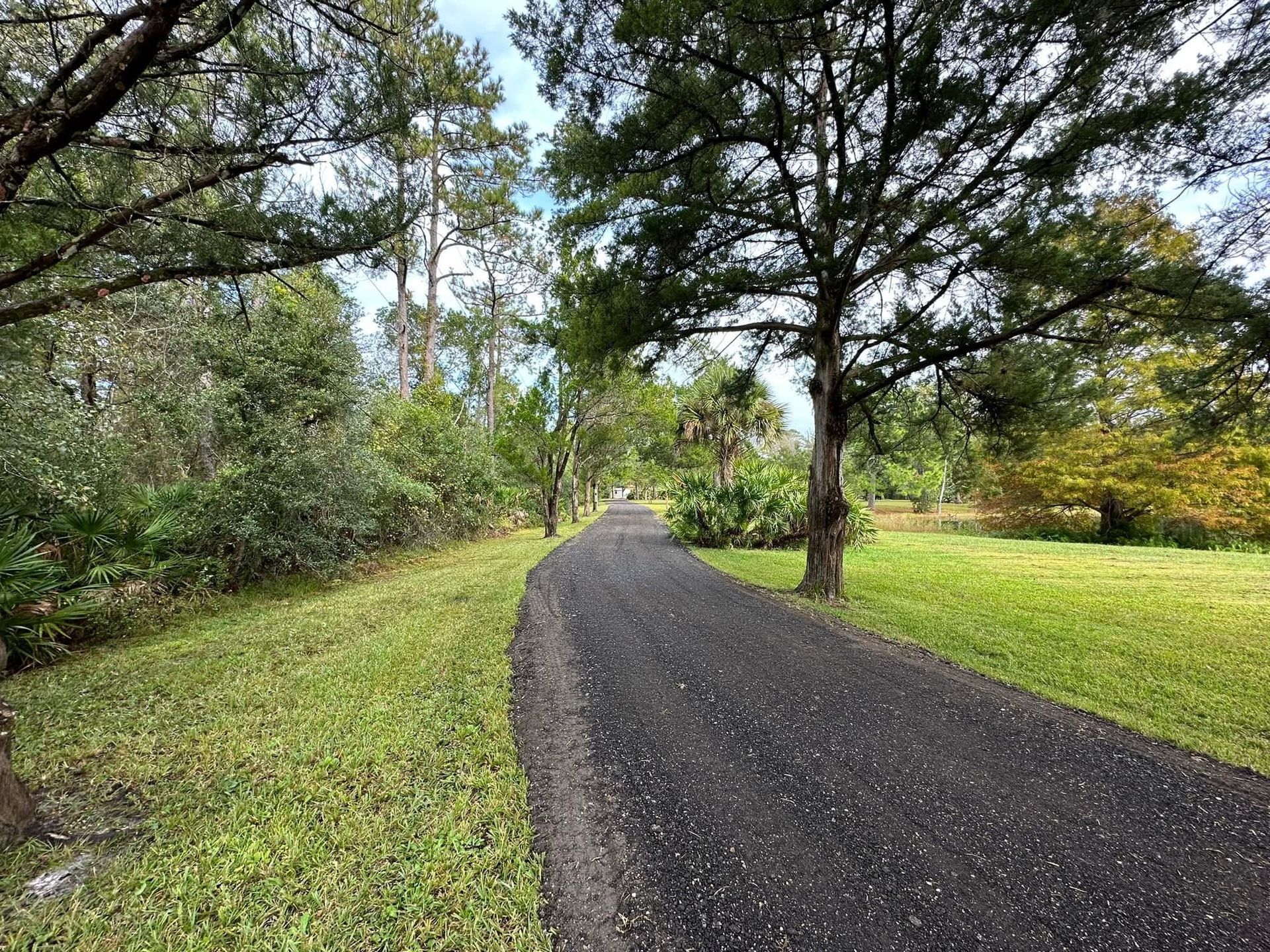 Tree-lined gravel path through a green park under a cloudy sky