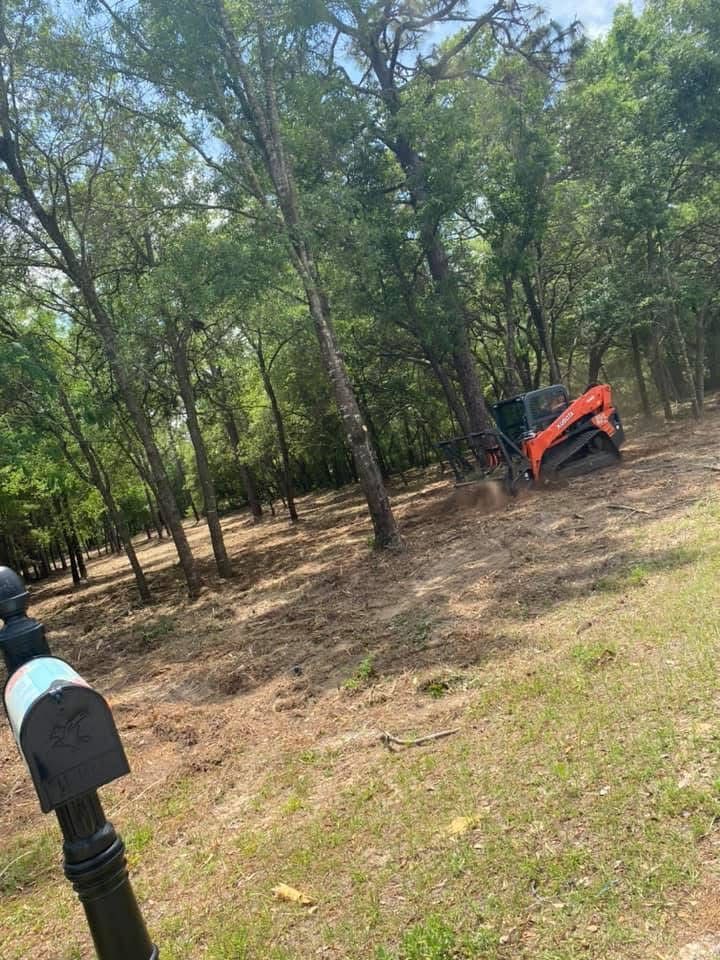 Skid steer with orange attachment in a wooded clearing with trees and dry grass.