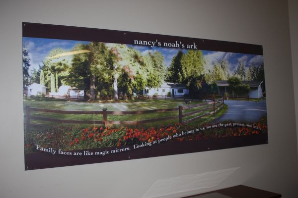 Panoramic mural of a landscaped garden with trees, flowers, path, and fountain on a wall