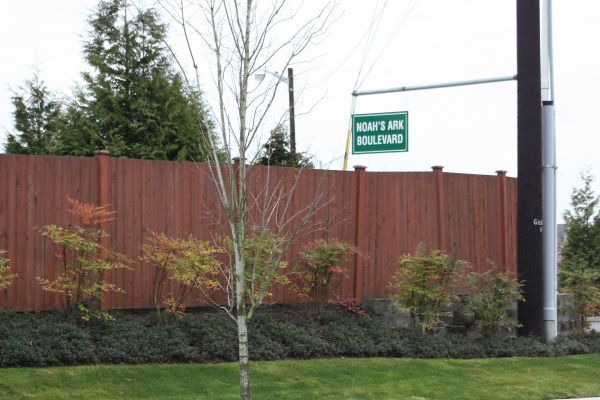 Small trees and shrubs in front of a red wooden fence and a white sign near a road