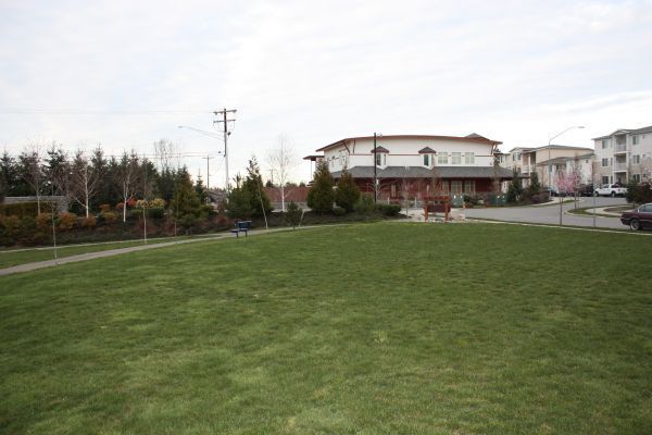 Wide grassy park with trees and a large beige building in the background under an overcast sky
