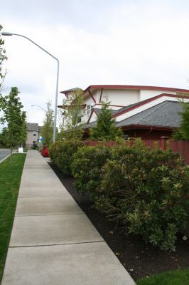 Sidewalk beside hedges and a residential building under a cloudy sky