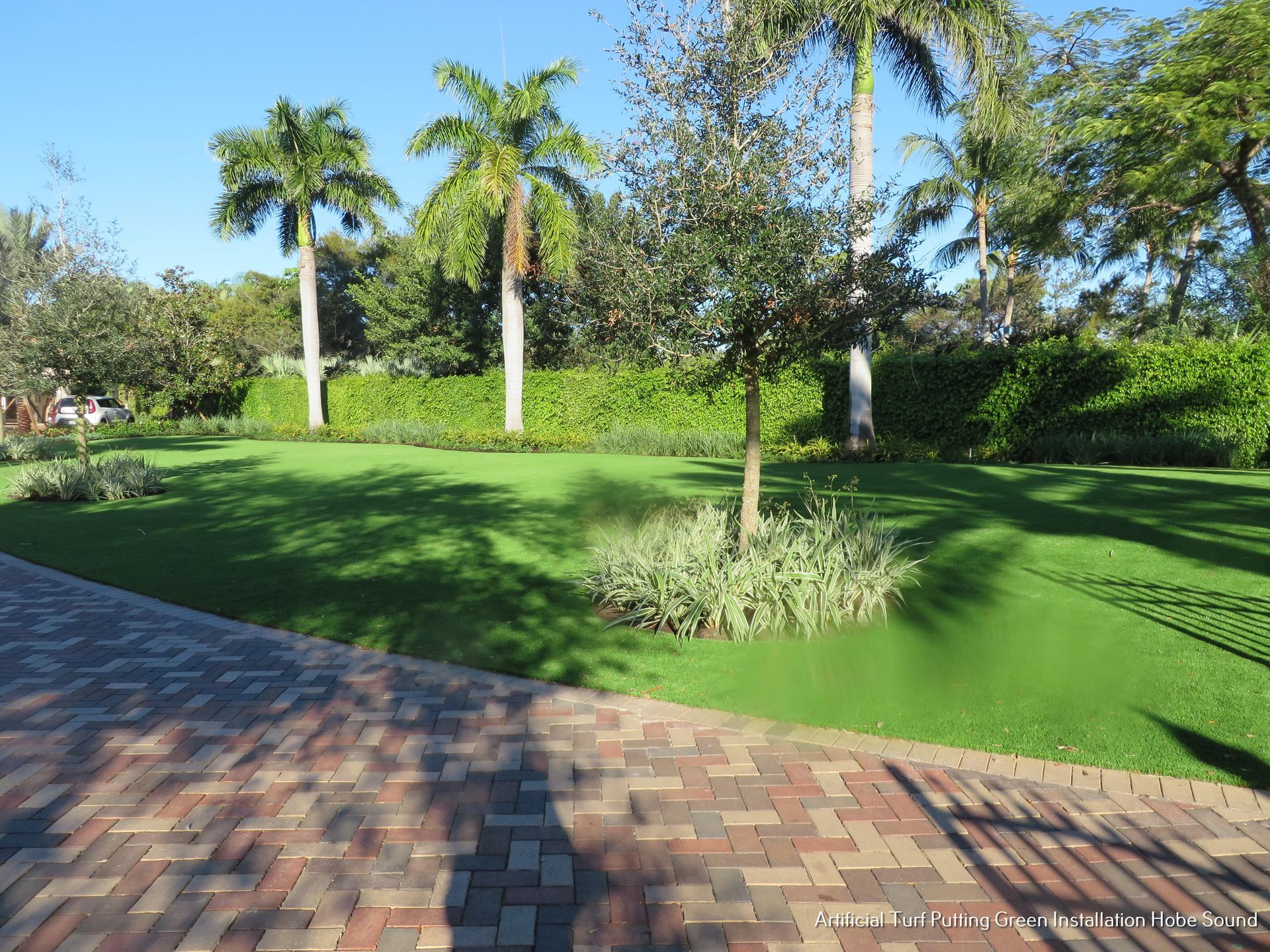 Brick path leading to a manicured lawn with palm trees and a hedge under a clear sky.