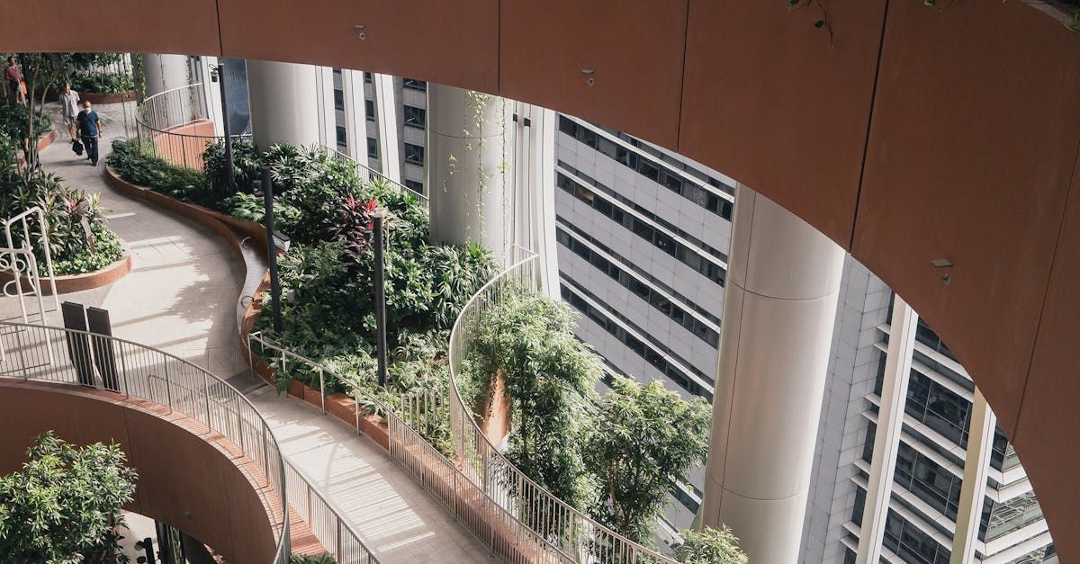 Rooftop Gardens and Patios