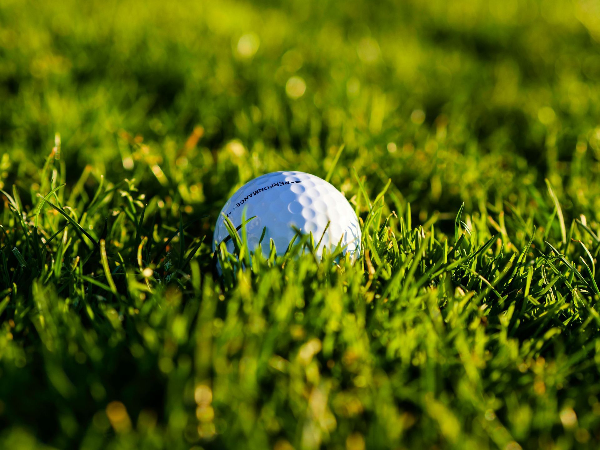Golf ball nestled in green grass.