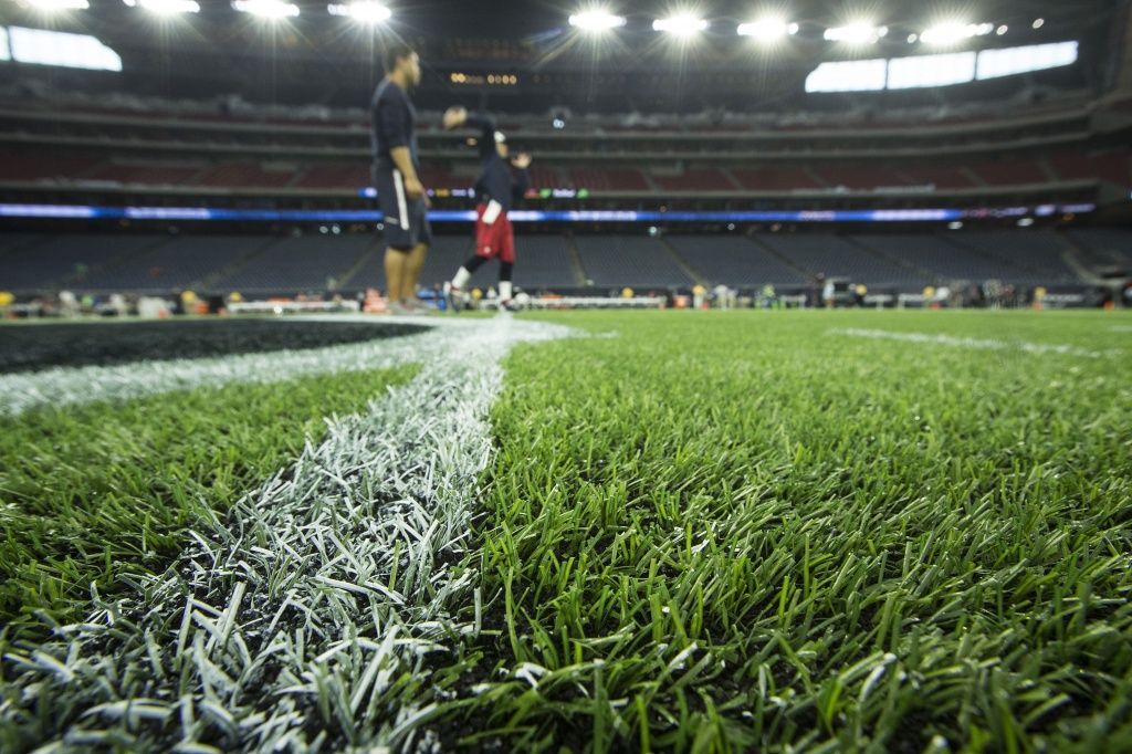 Backyard Turf