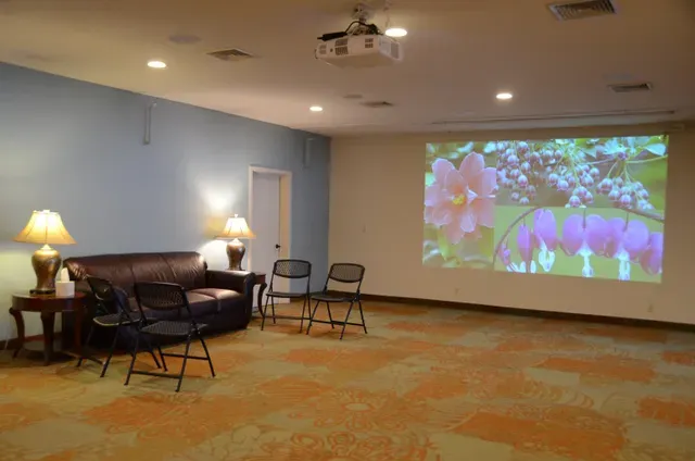 Projector Screen
