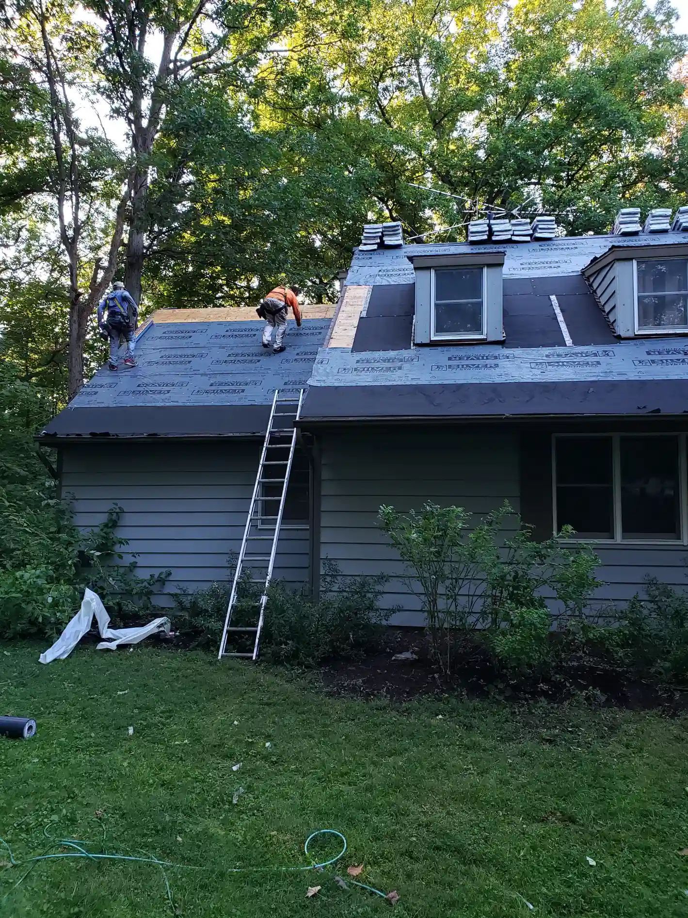Roofers working on a house roof. One on the ladder, two on the roof. Green trees and grass in the background.