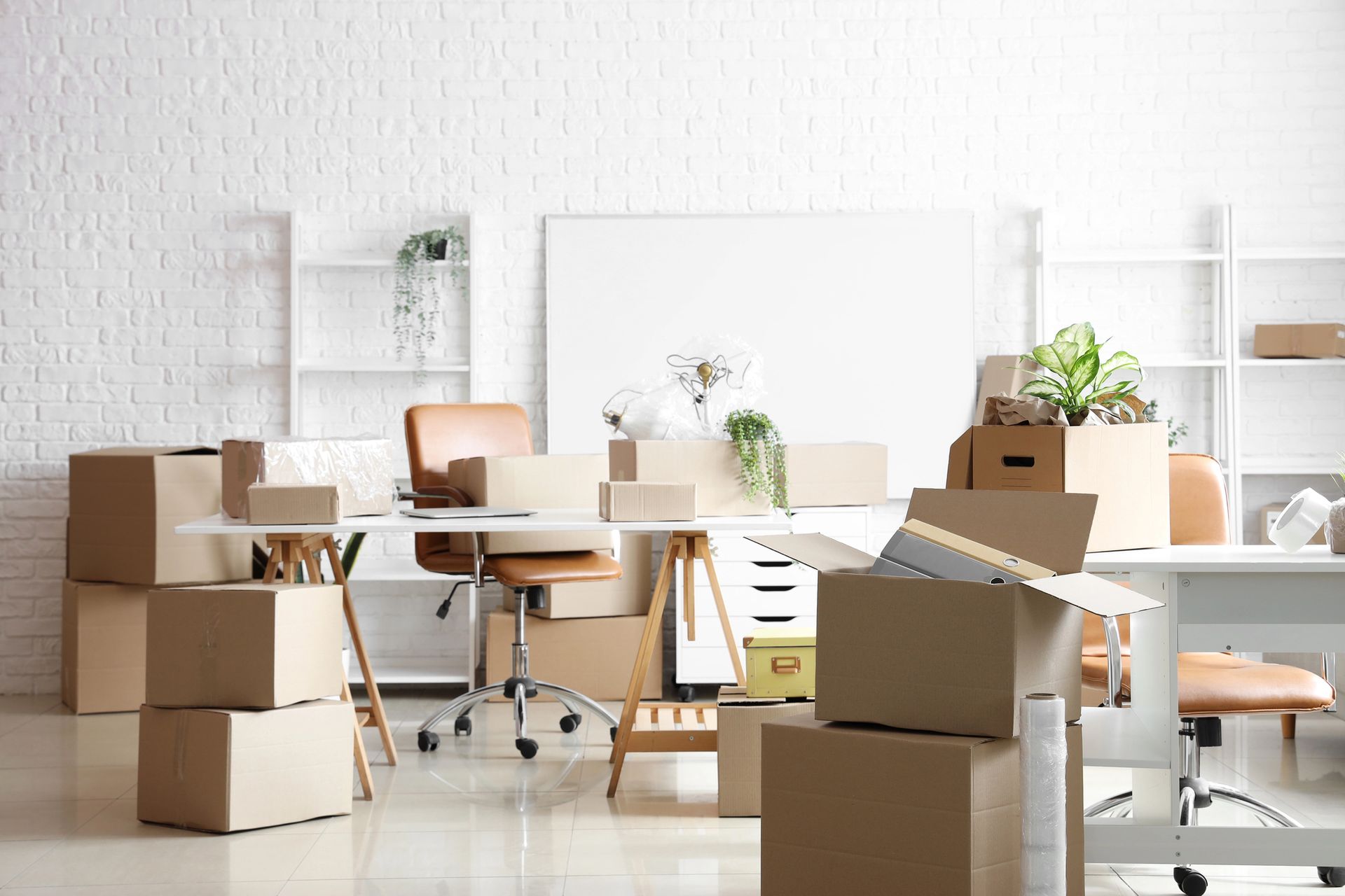 Ufficio con scrivania, scatole, piante e scaffali, che suggerisce un trasloco o un trasferimento.