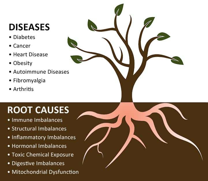 Tree diagram showing diseases and root causes, with branches and roots on a brown background