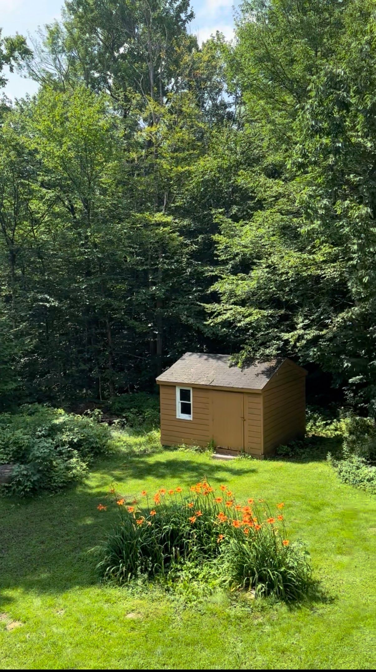 Small tan garden shed in a sunny backyard surrounded by trees, grass, and orange flowers.