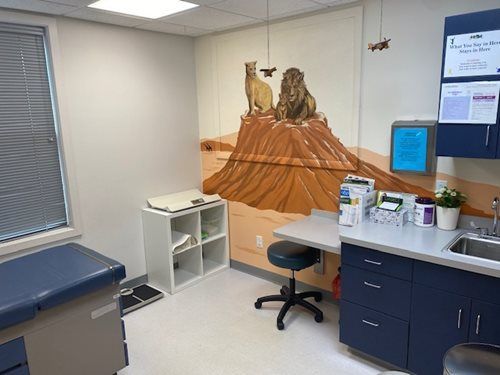 Medical exam room with cabinet, exam table, wall camel mural, and desk with computer screen
