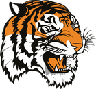 tasd tiger logo