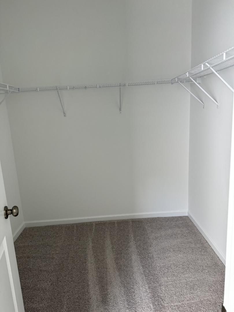 canonbury-20