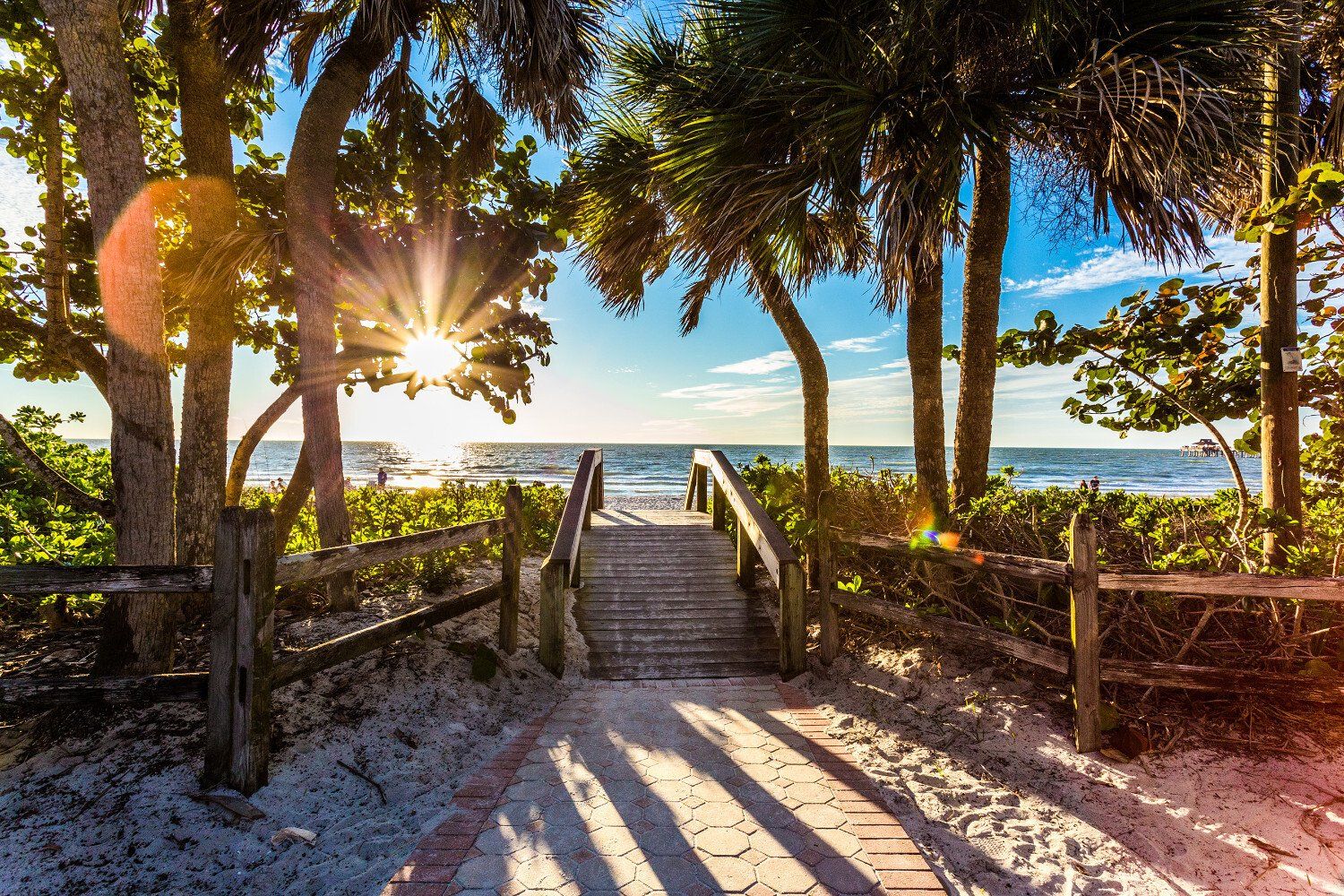 Sunlit beach path with wooden steps through trees leading to the ocean at sunset
