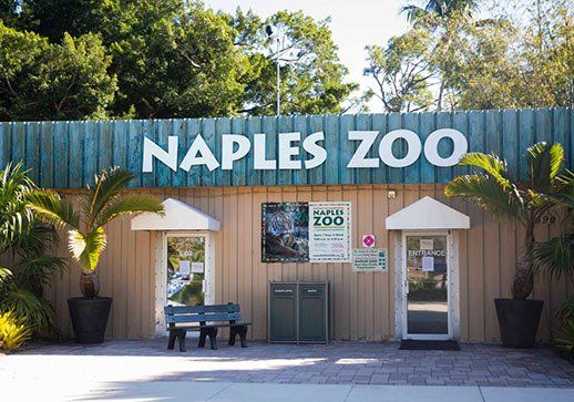 Entrance to Naples Zoo with palm trees, blue bench, and large sign above the doors