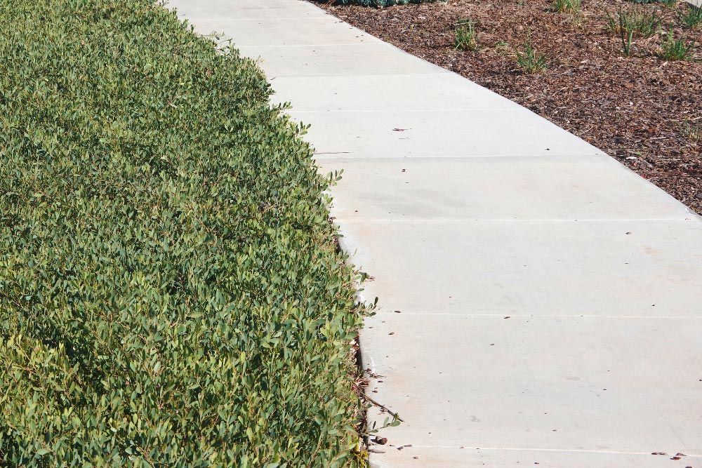 Sidewalk Installation and Repairs in Atlantic Beach, FL