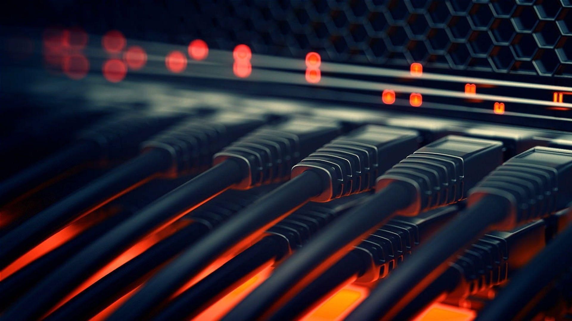 A bunch of ethernet cables are connected to a server.
