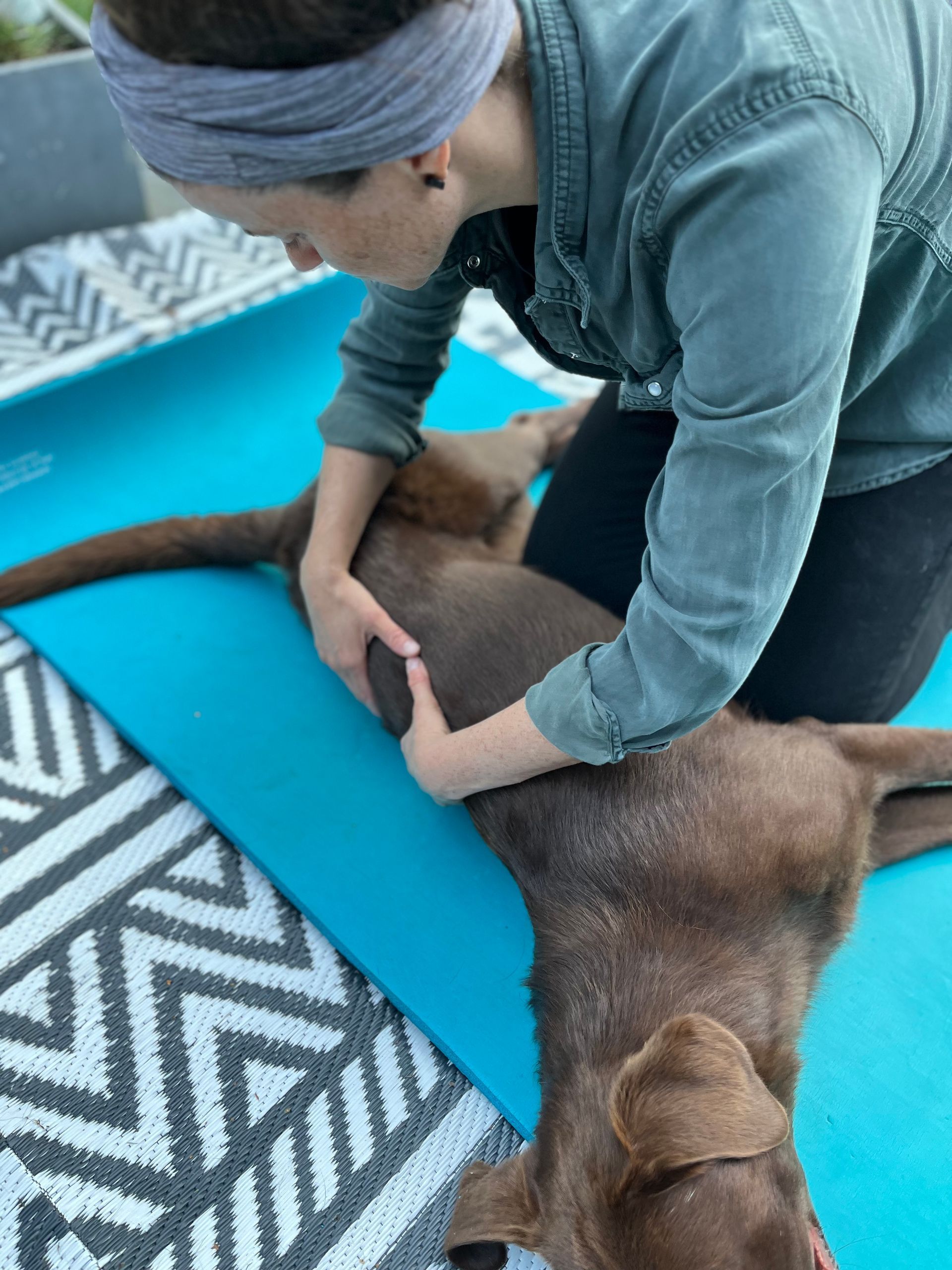 Hunde Massage, Hundephysiotherapie, Manuelle Therapie Hund