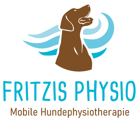 Hundephysiotherapie Achim Bremen Fritzis Physio