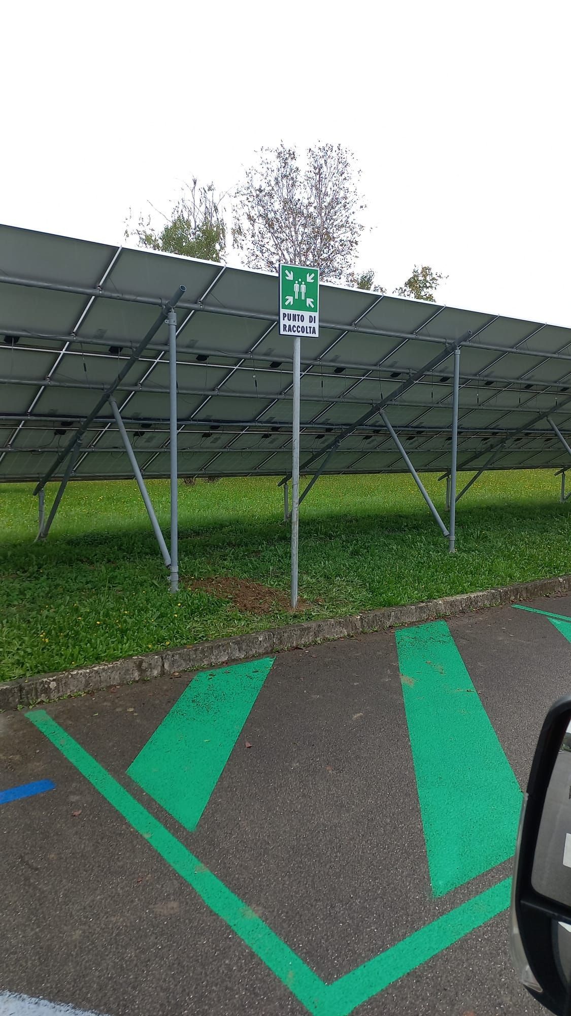 Parcheggio verde contrassegnato dal simbolo della stazione di ricarica, con pannelli solari sullo sfondo.