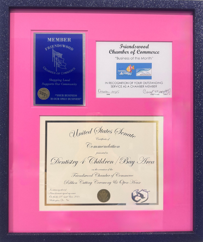 A framed collection of three awards from the Friendswood Chamber of Commerce and U.S. Senate for Dentistry 4 Children.