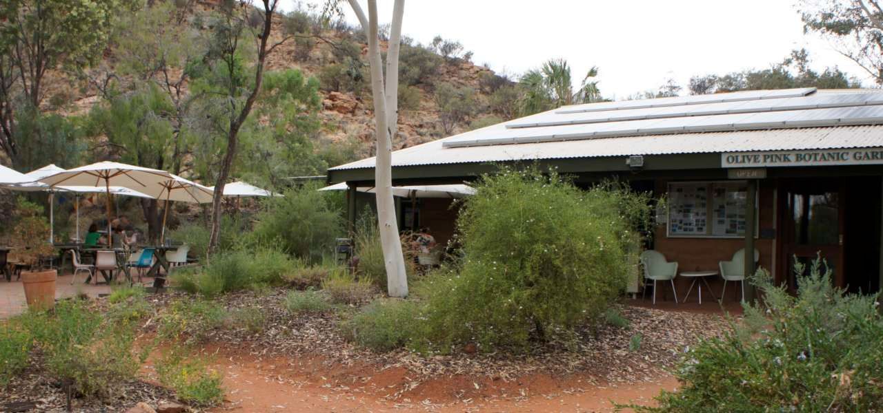 A building with a roof that has solar panels on it is surrounded by trees and bushes.