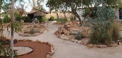 A path surrounded by rocks and trees in a garden.