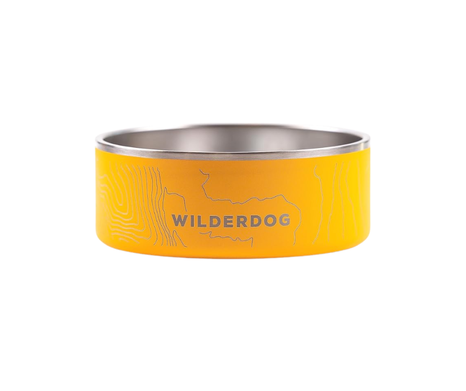 Yellow dog bowl with