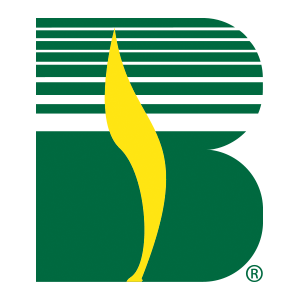 A stylized capital letter B colored in dark green with horizontal stripes and a yellow flame-like shape in the center.