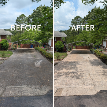 Wet concrete driveway leading to a house entrance, lined with green shrubs and trees.