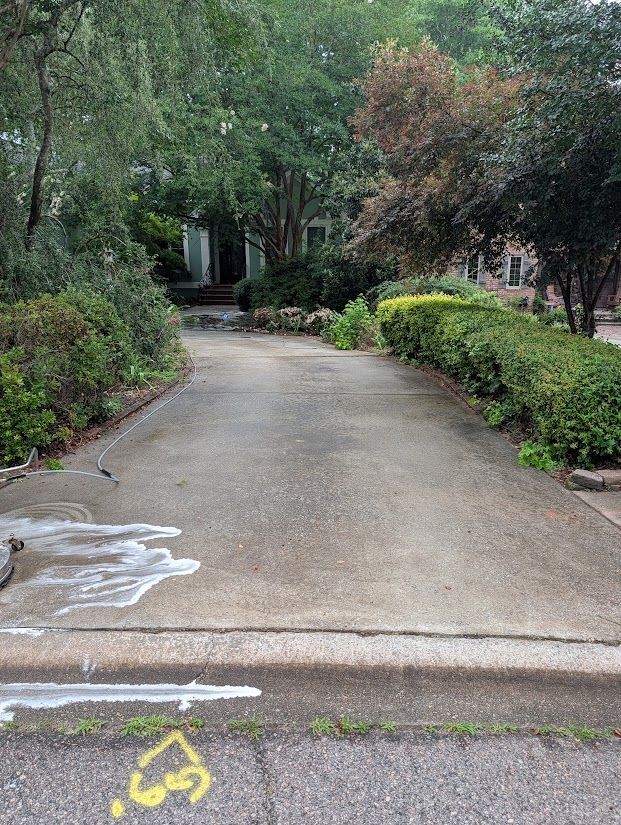 Concrete driveway leading to a house, bordered by shrubs and trees with a leafy entrance ahead
