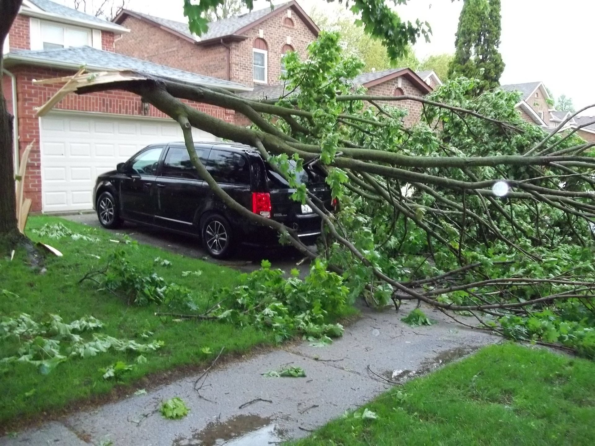 A tree has fallen on a car parked in front of a garage.