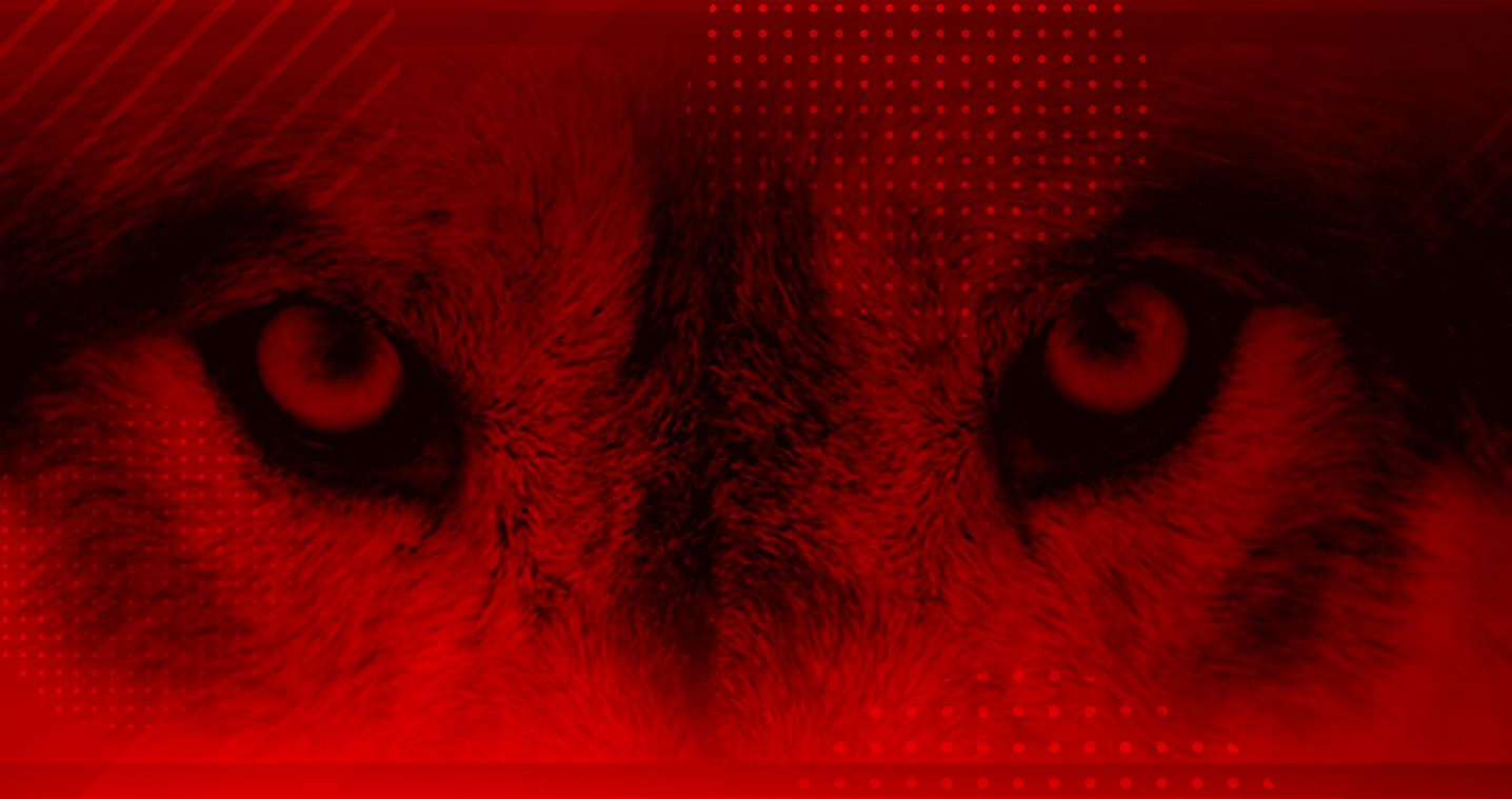 A close up of a lion 's eyes on a red background.