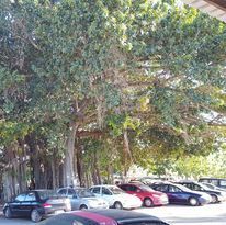 Variety Of Cars — Goodall's Automotive Services & Wreckers in Cluden, QLD