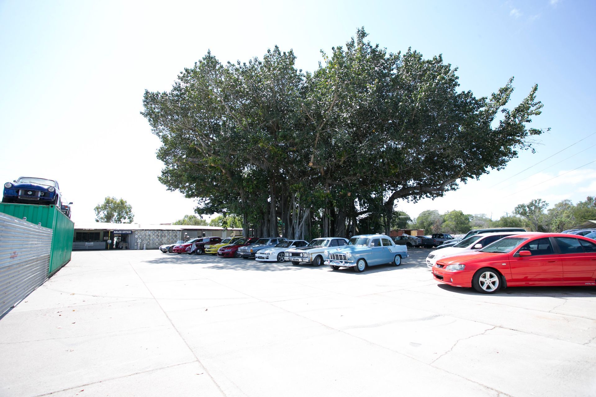 Cars Parked Under a Tree — Goodall's Automotive Services & Wreckers in Cluden, QLD