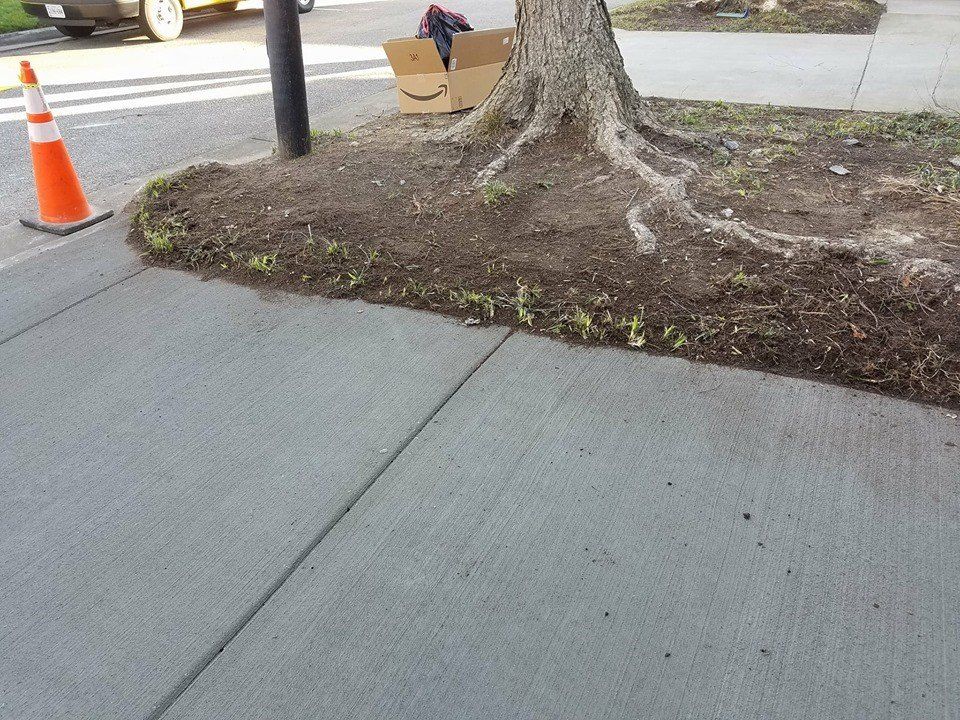New Concrete Sidewalk — Norfolk, VA — Branche Industries