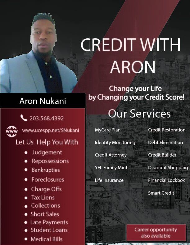 Image of a sample design for credit repair flyer