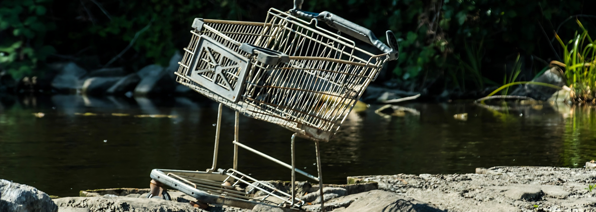 Abandoned shopping cart tilted in a shallow creek beside muddy rocks and green foliage