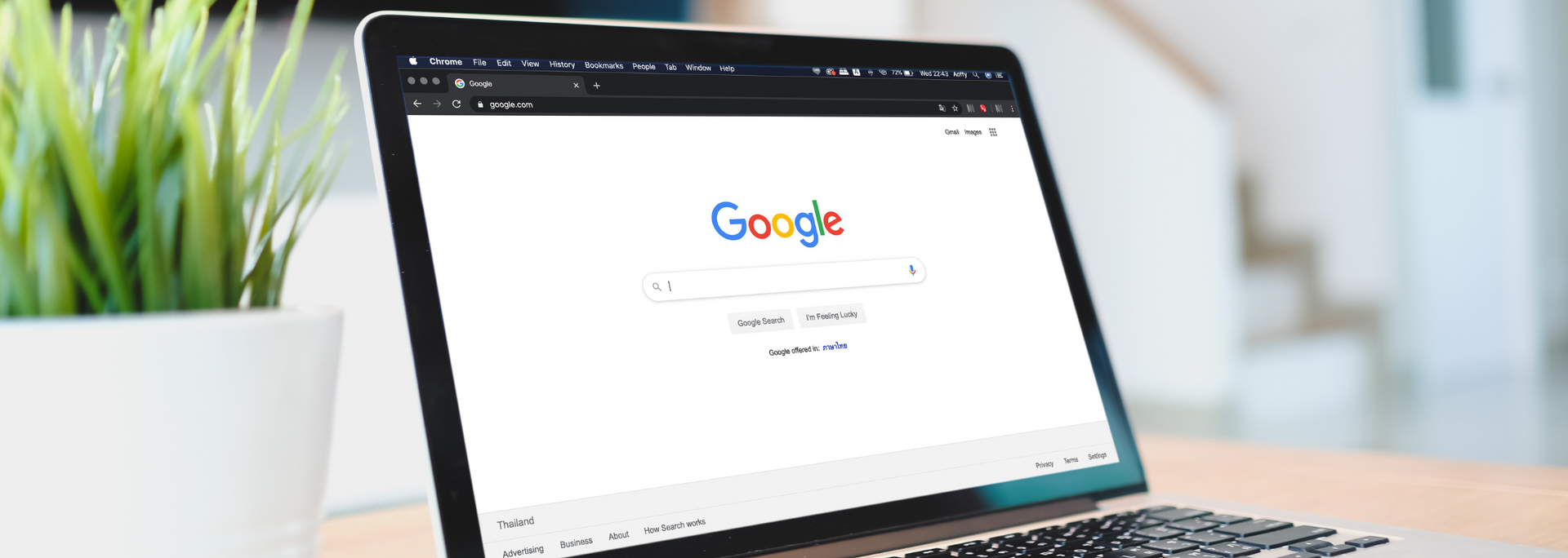 Laptop on desk displaying Google homepage beside a white potted plant